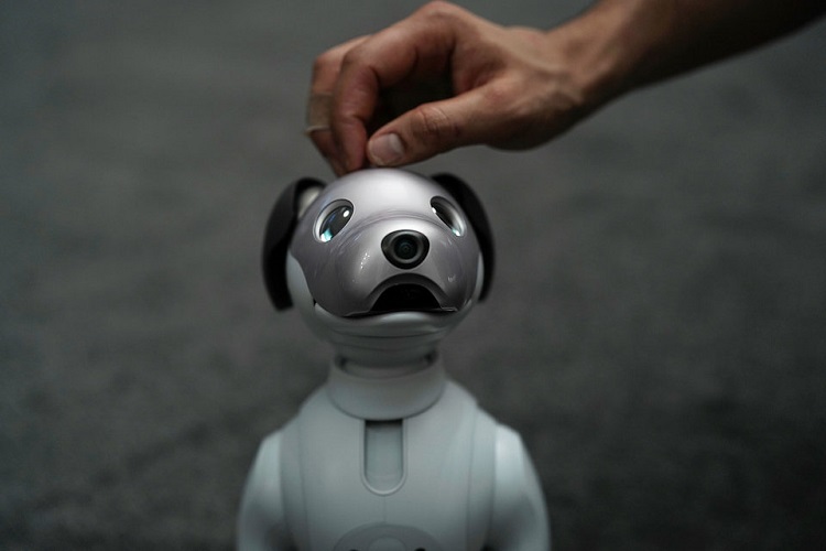 سونی، ربات خانگی Aibo را روانه بازارهای امریکا می‌کند