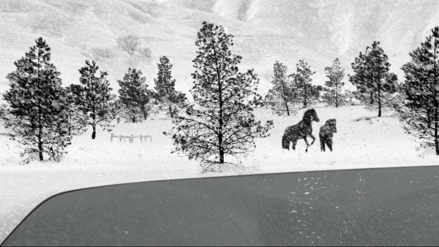 «۲۴ فریم» اثر عباس کیارستمی در میان ۱۰ فیلم برتر سال ۲۰۱۸